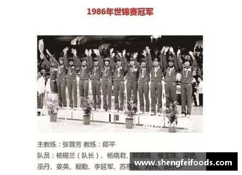 亚美尼亚体育明星的巅峰成就与辉煌历程探秘