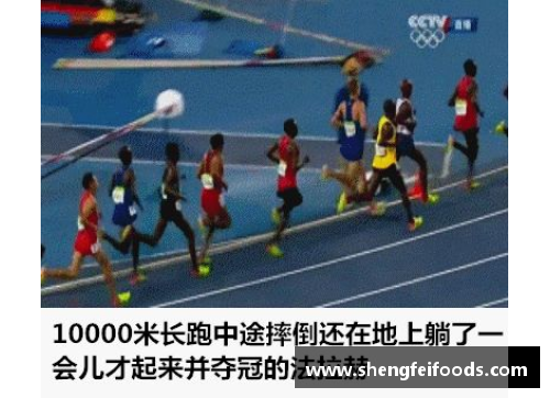 中国体育界姓王的明星运动员一览及成就介绍