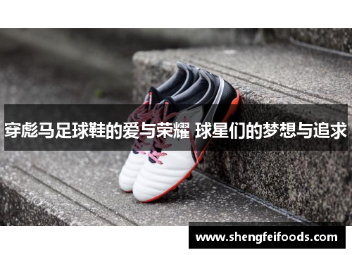 穿彪马足球鞋的爱与荣耀 球星们的梦想与追求