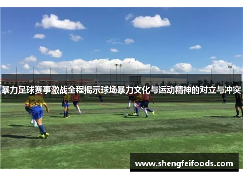 暴力足球赛事激战全程揭示球场暴力文化与运动精神的对立与冲突