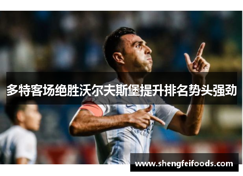 多特客场绝胜沃尔夫斯堡提升排名势头强劲