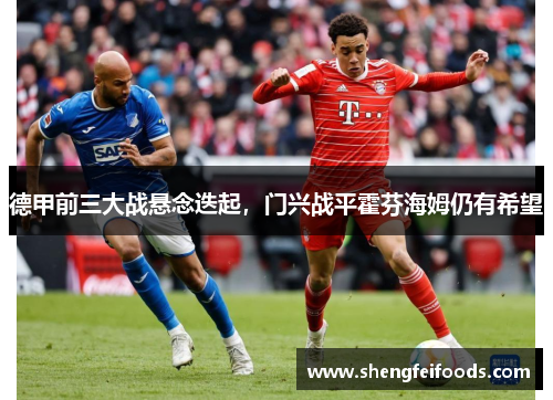 德甲前三大战悬念迭起，门兴战平霍芬海姆仍有希望